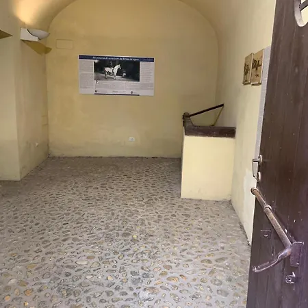 Apartment Luxury Place House Pineta *